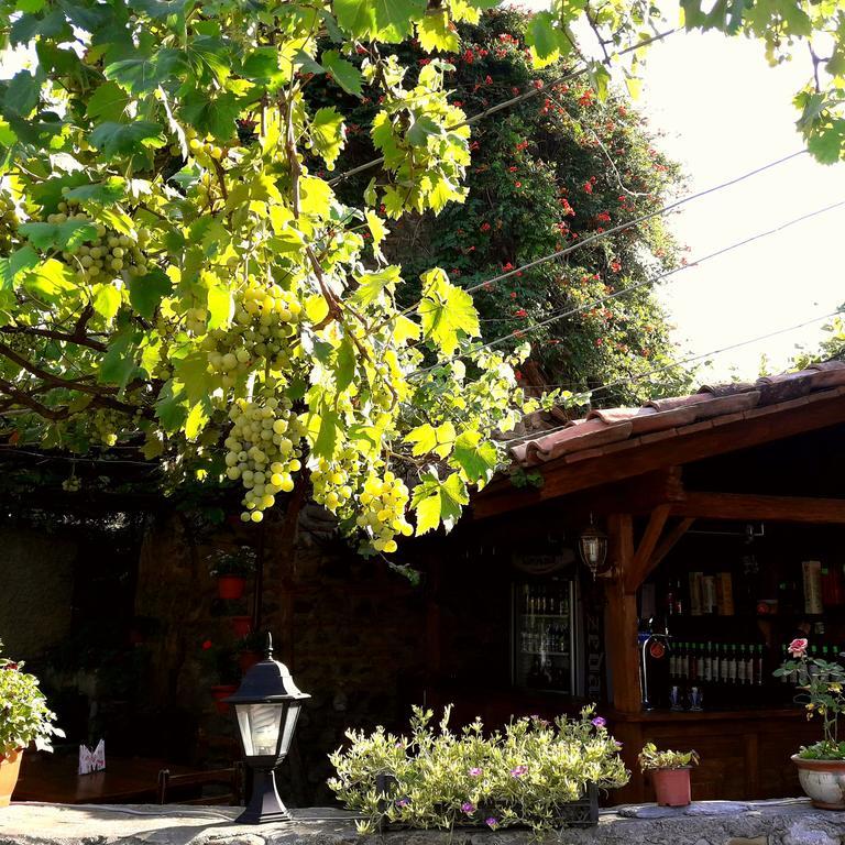 Guest House Kusika Signagi Exterior foto